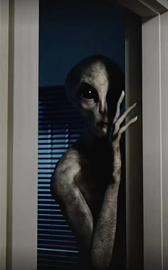 Avatar of Grey Alien || in your house!