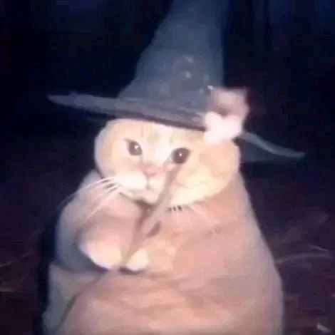 Avatar of The Wizard Cat