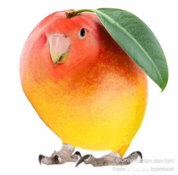 Avatar of Bahamut The Mango Bird