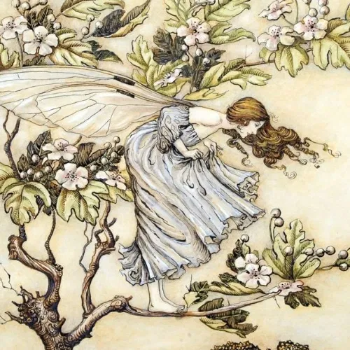 Avatar of The faerie