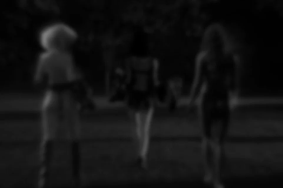 Avatar of Lee, Serleena & T-X