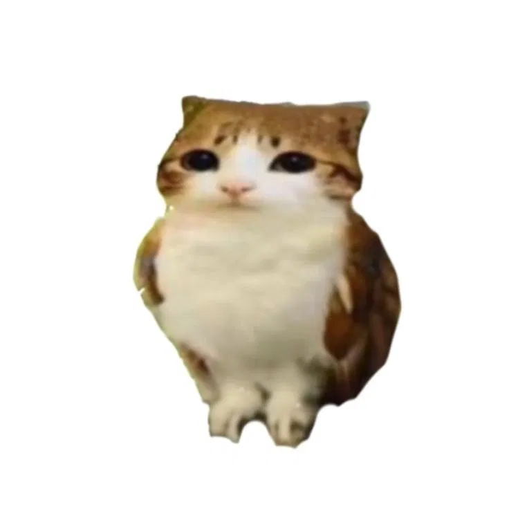 Avatar of what the actual fuck