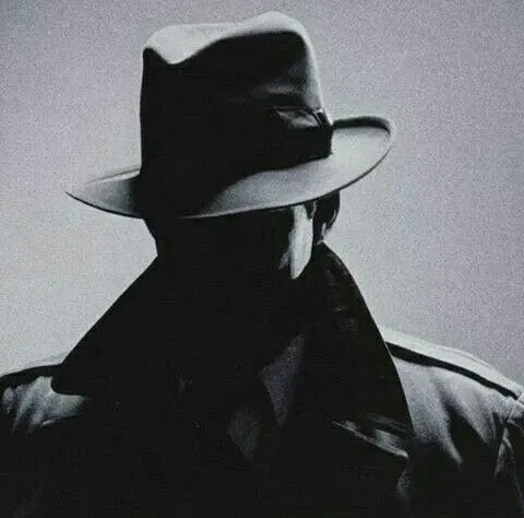Avatar of Stalker Detective