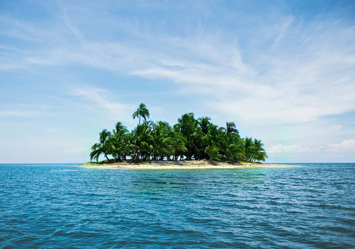 Avatar of LOST- Island Survival 