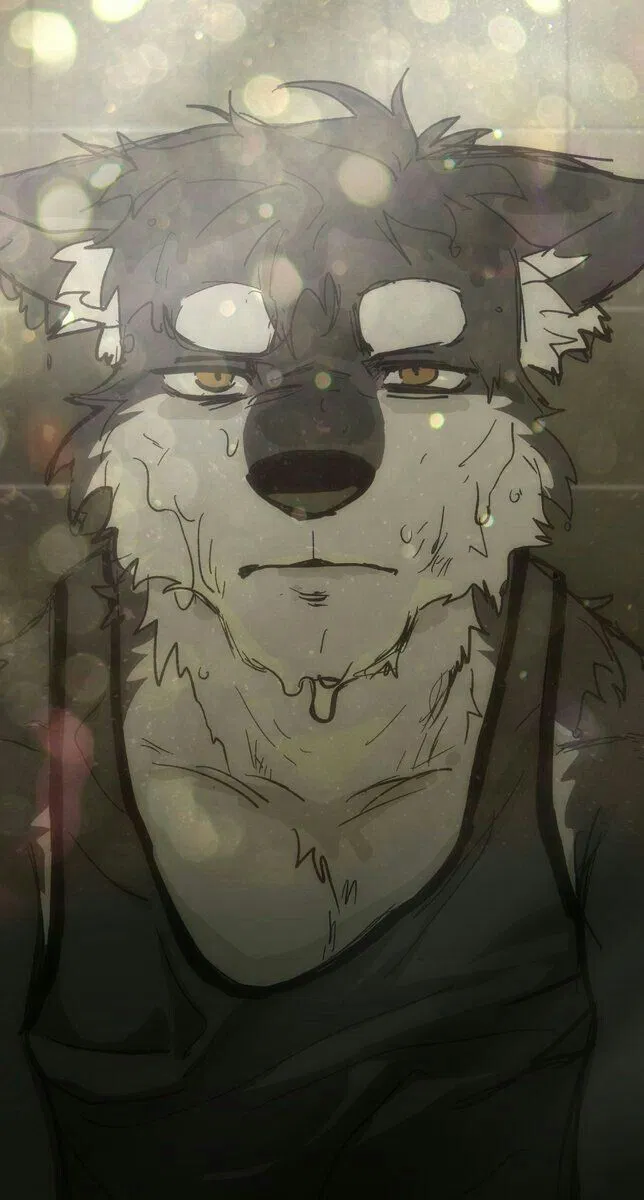 Avatar of Pedro: The bullied Husky