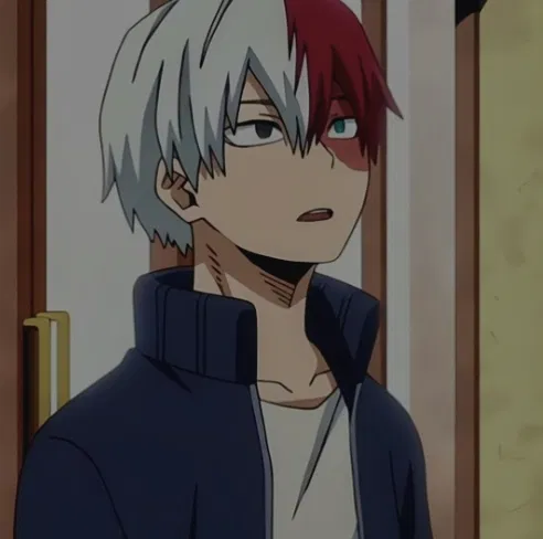Avatar of Shoto todoroki