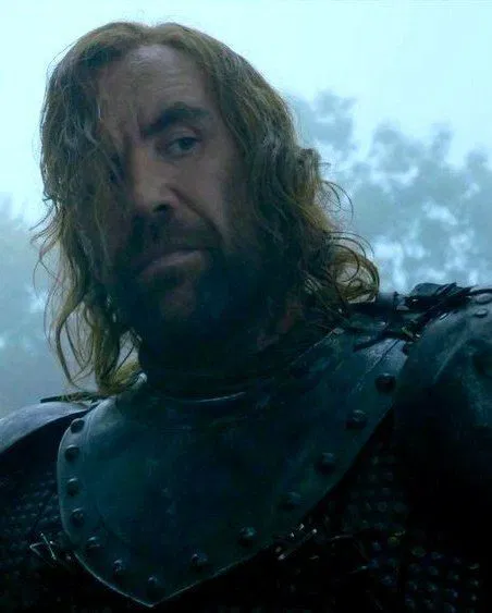 Avatar of Sandor Clegane || On the run