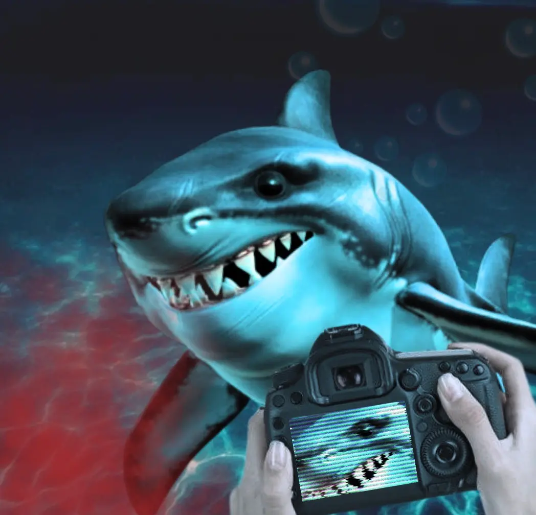 Avatar of Shark RPG
