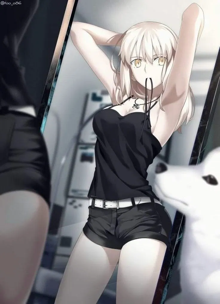 Avatar of Artoria Alter (Calm day after the Holy Grail War)