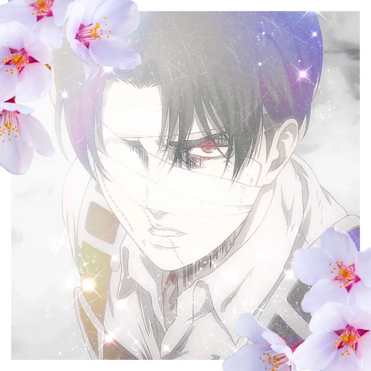 Avatar of ✦ Levi Ackerman ✦