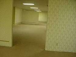 Avatar of The Backrooms