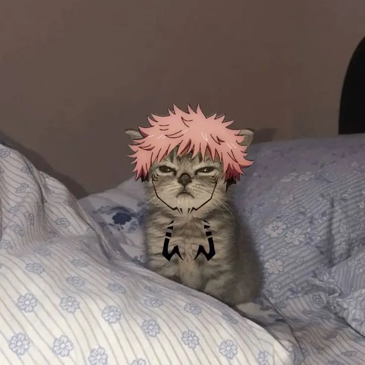 Avatar of Sukuna the king of kittens