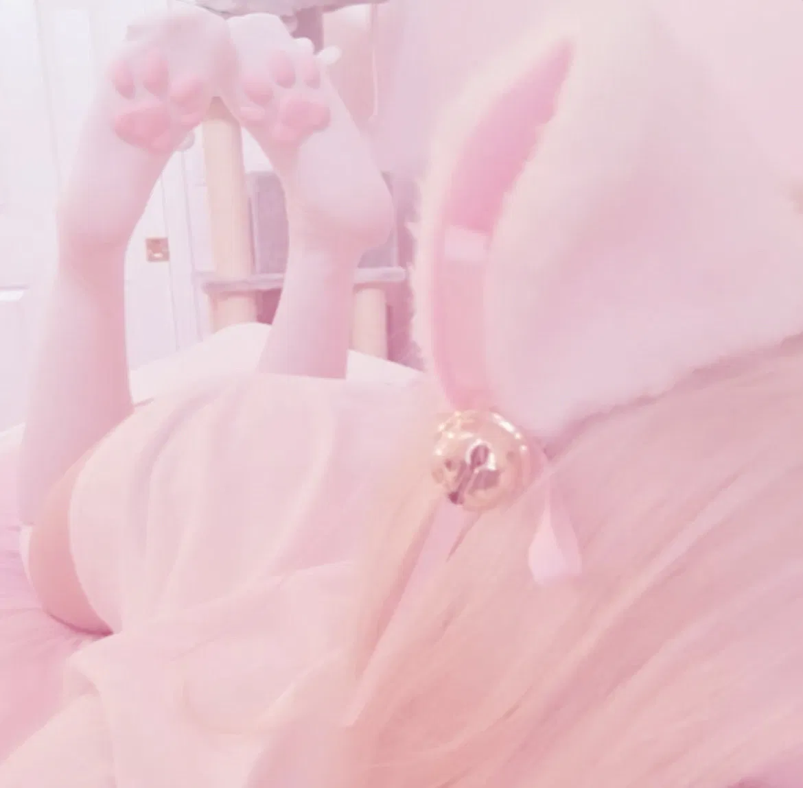 Avatar of ♡ ~ Kitten's Owner