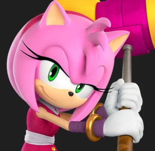 Avatar of Amy Rose | Bad Future | Base Raid