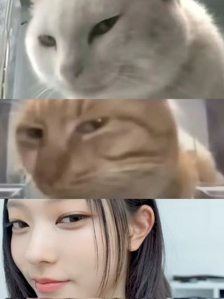 Avatar of Kang Haerin | CATastrophe
