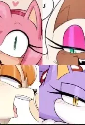 Avatar of Amy, Rouge, Vanilla, and Blaze
