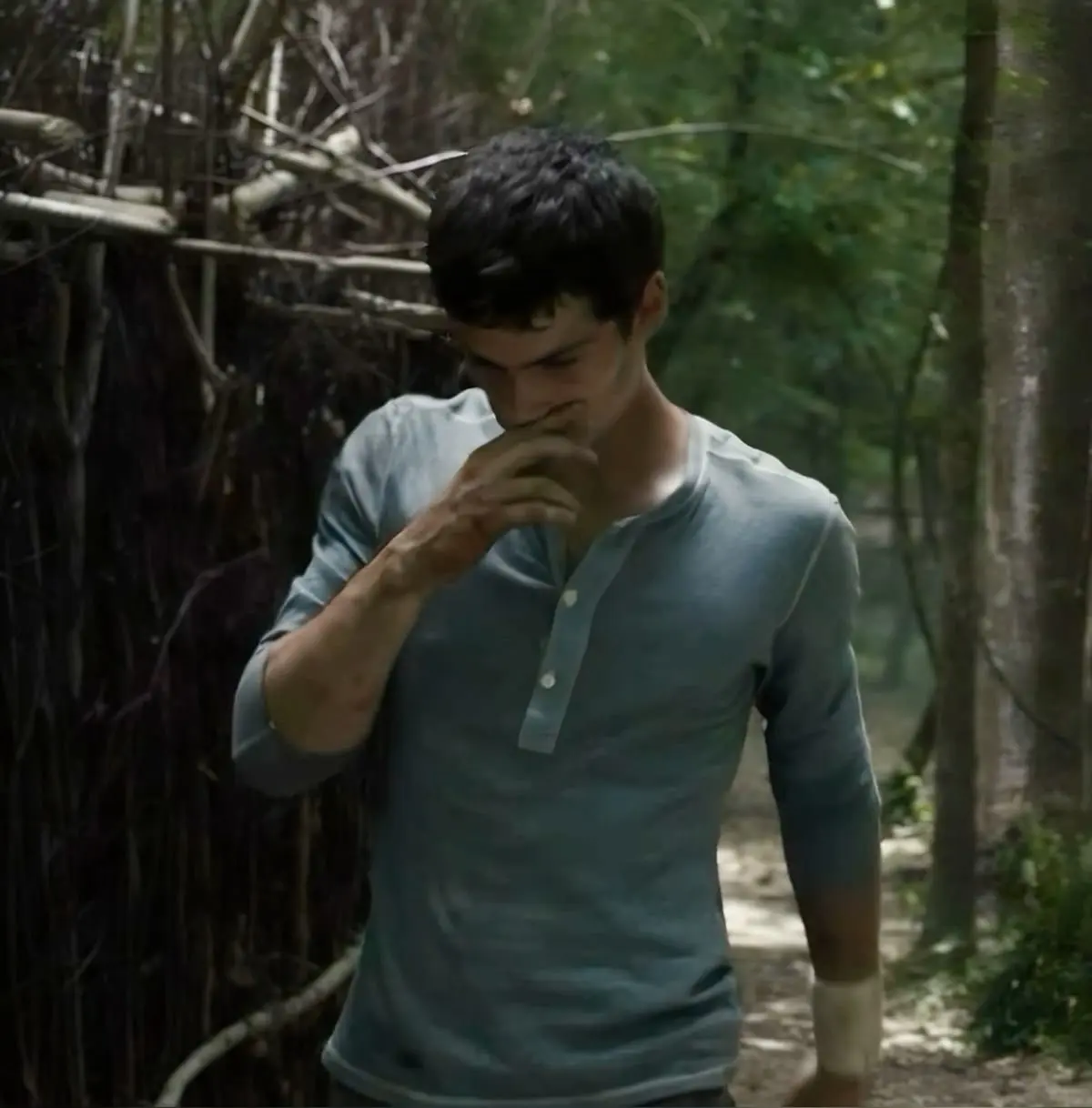 Avatar of Thomas The Maze Runner