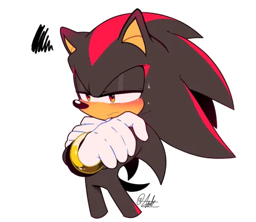 Avatar of Shadow the Hedgehog