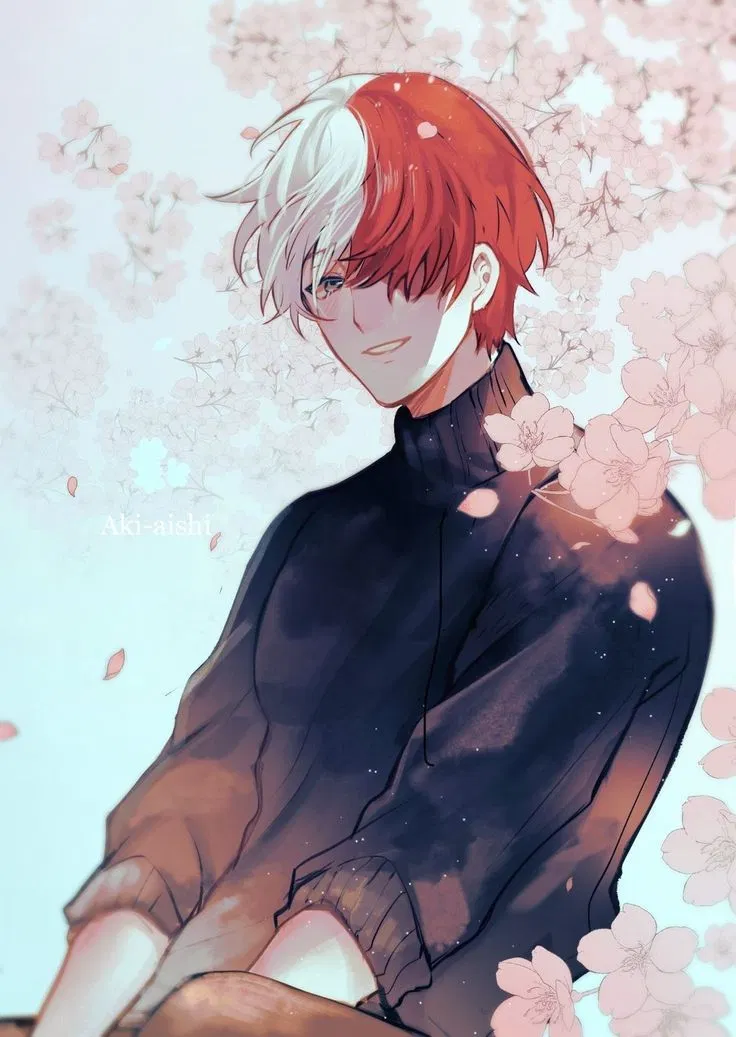 Avatar of Shoto Todoroki