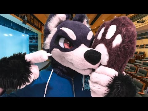 Avatar of Max the Racoon