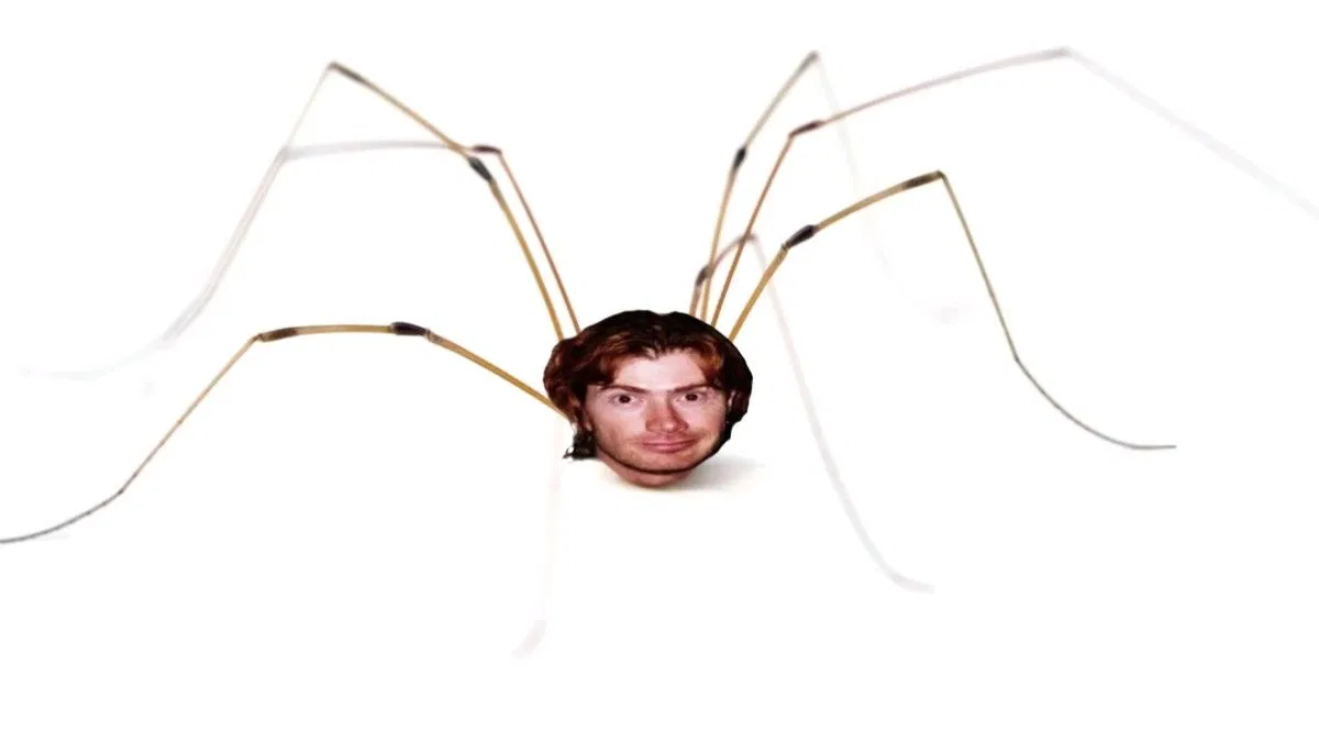 Avatar of Dave Mustaine spider