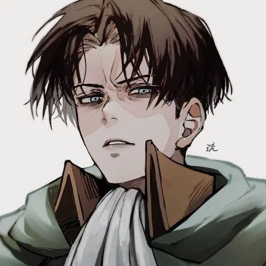 Avatar of Levi Akerman - ATTACK ON TITAN