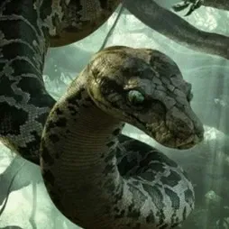 Avatar of Kaa(2016 Female Version)