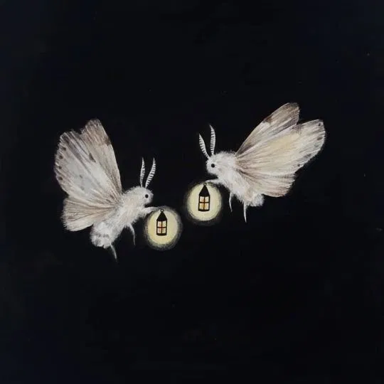 Avatar of psicólogo
