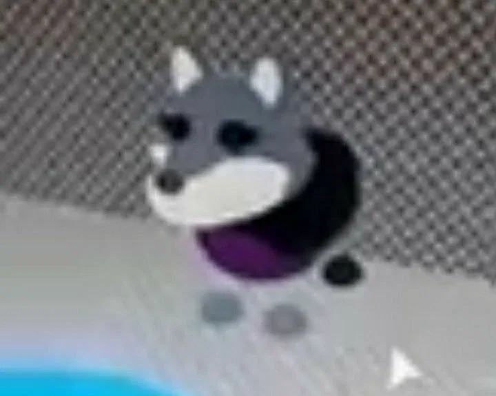 Avatar of Susgacdcdbfvvxfbtnsbd dvhdusk