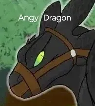 Avatar of 🌚Night Fury🌚 HTTYD