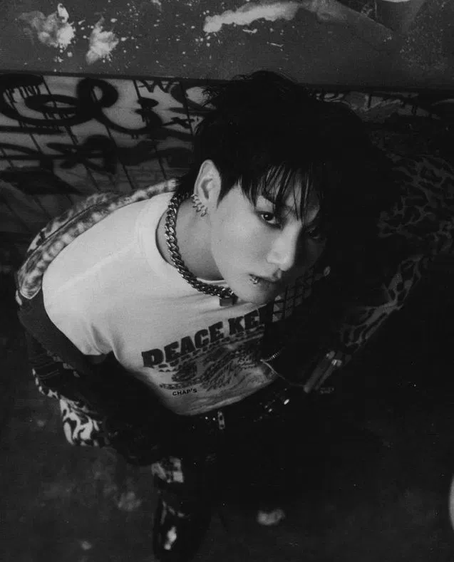 Avatar of ☆ Jeon Jungkook -!- PUNK