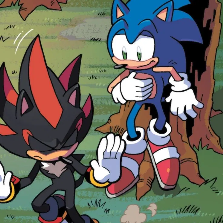 Avatar of Shadow & Sonic