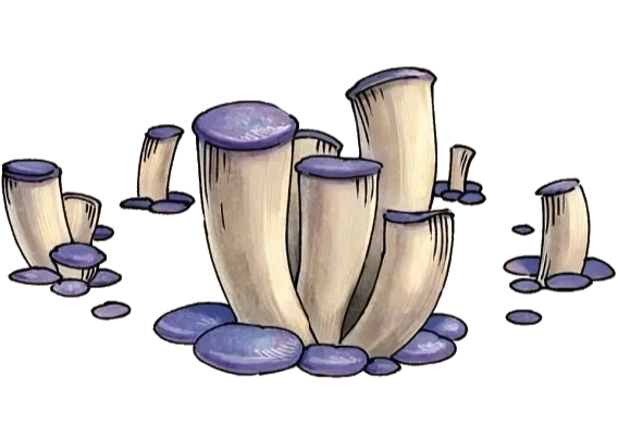 Avatar of Changelings
