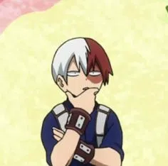 Avatar of MHA - Shoto Todoroki