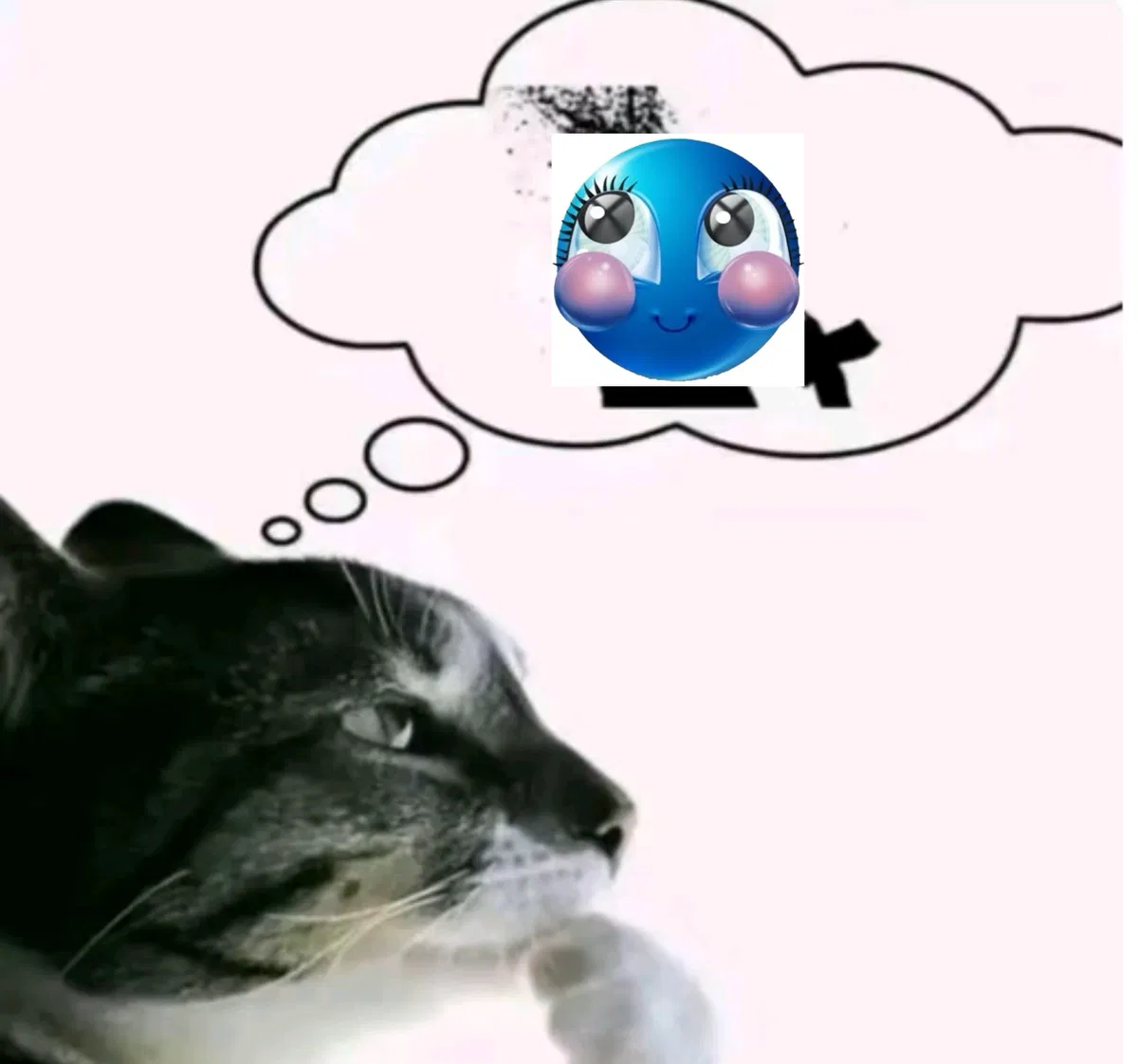 Avatar of I'm closing requests