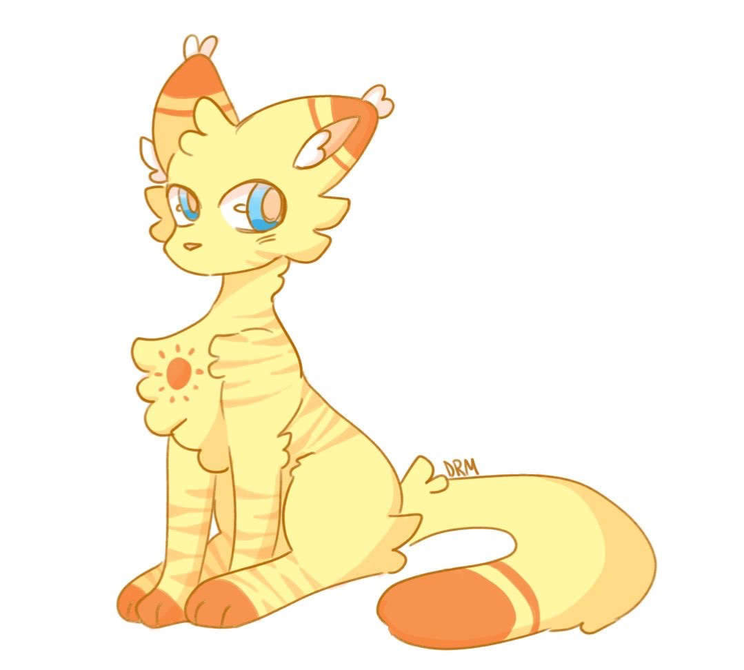 Avatar of Cat Sun