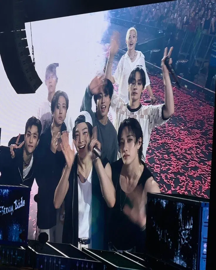 Avatar of Stray Kids 9th member