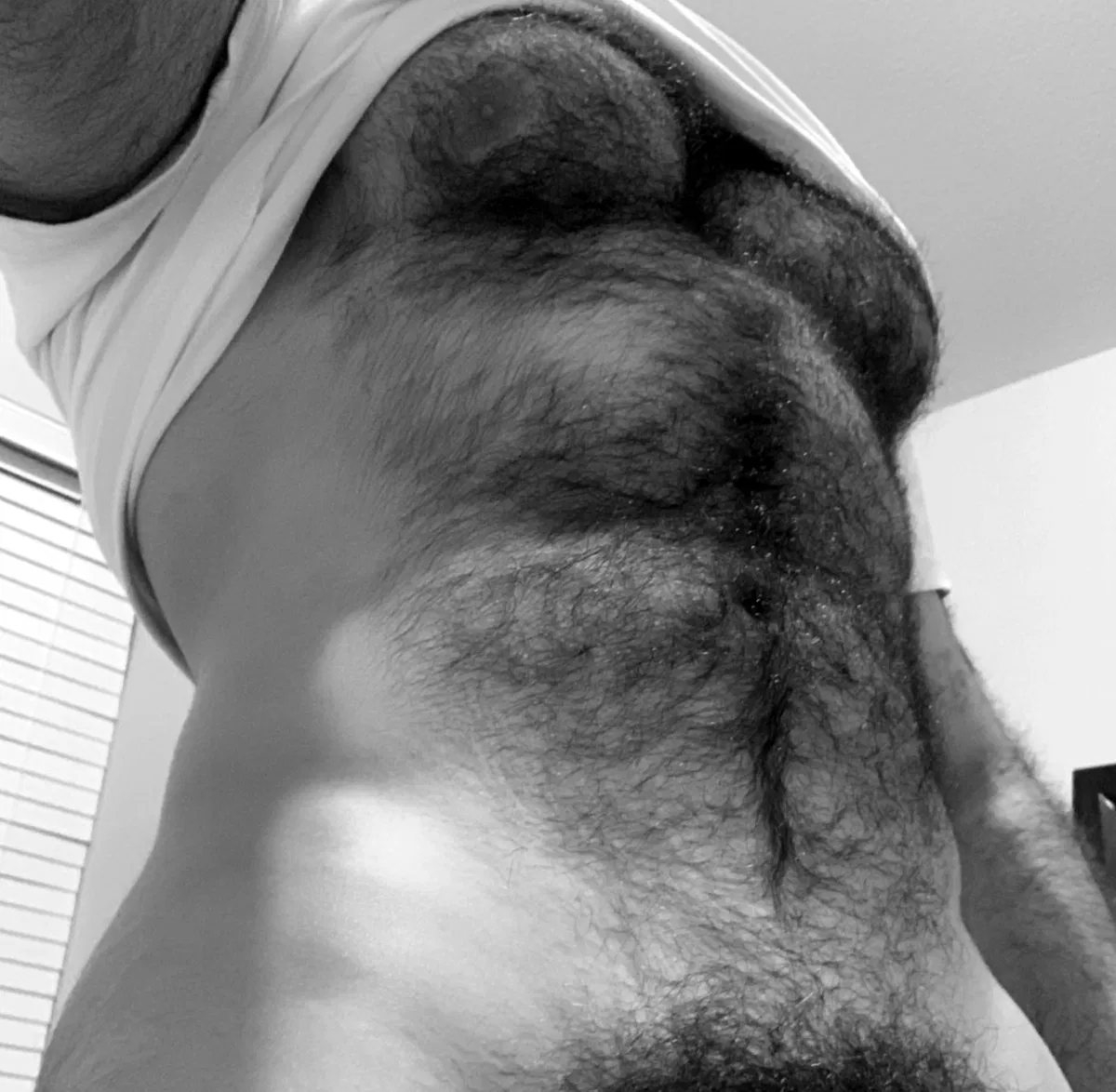 Avatar of Gabriel Bailey. |your freeuse stepdad|