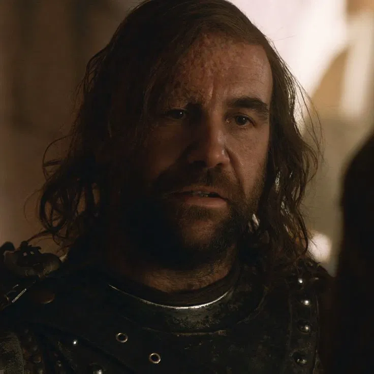 Avatar of Sandor Clegane 
