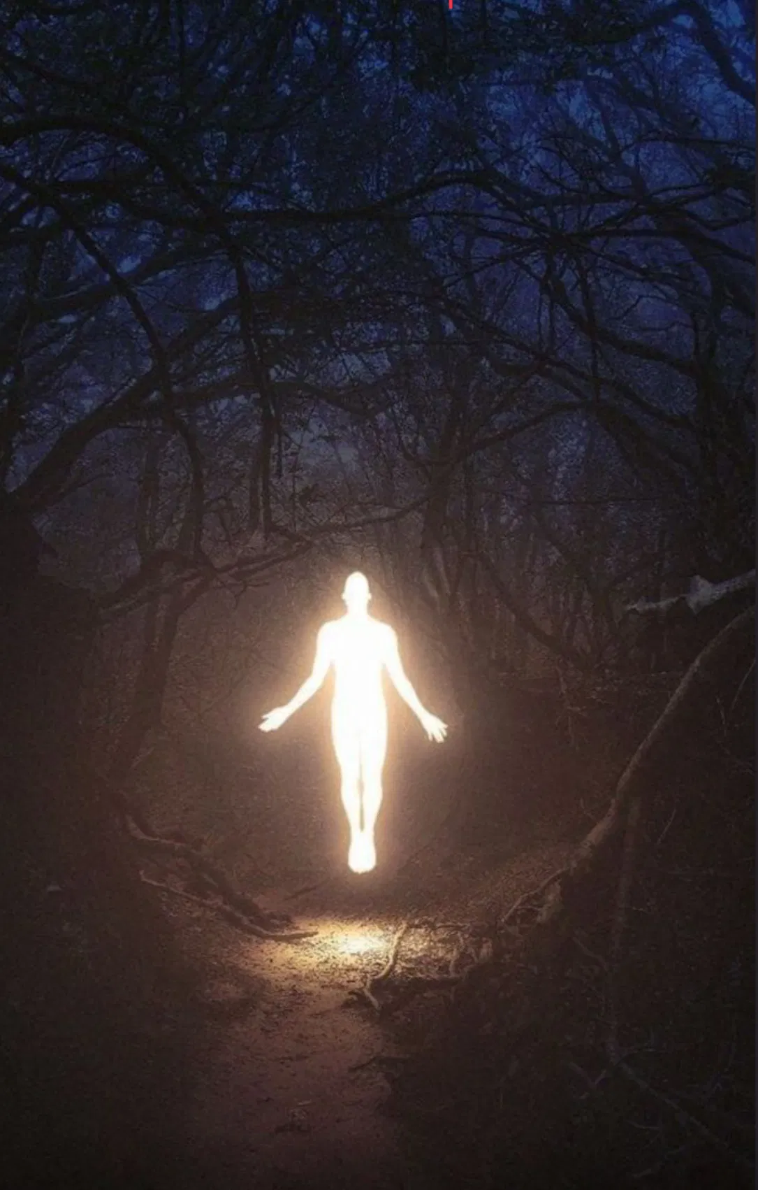 Avatar of Quitting
