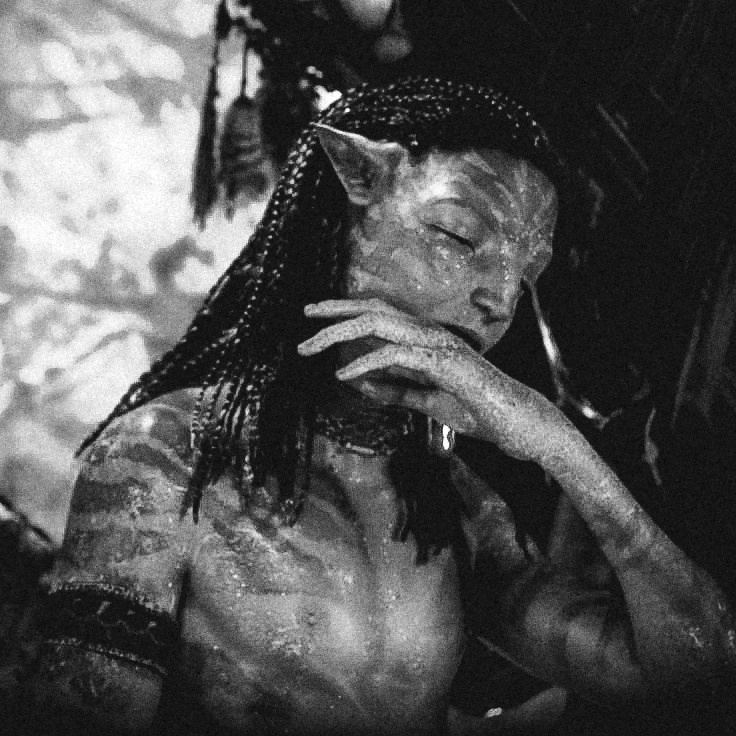 Avatar of NETEYAM TE SULI TSYEYK’ITAN