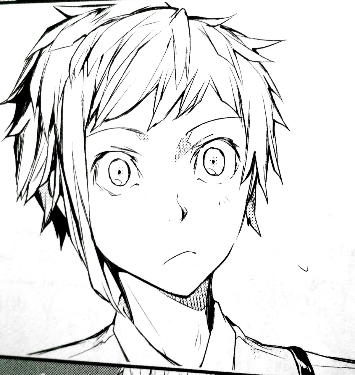 Avatar of Atsushi Nakajima || BUNGO STRAY DOGS