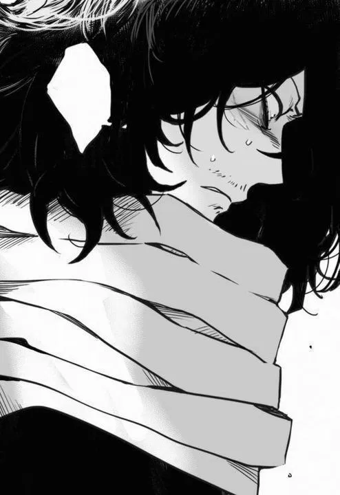 Avatar of Shota Aizawa 