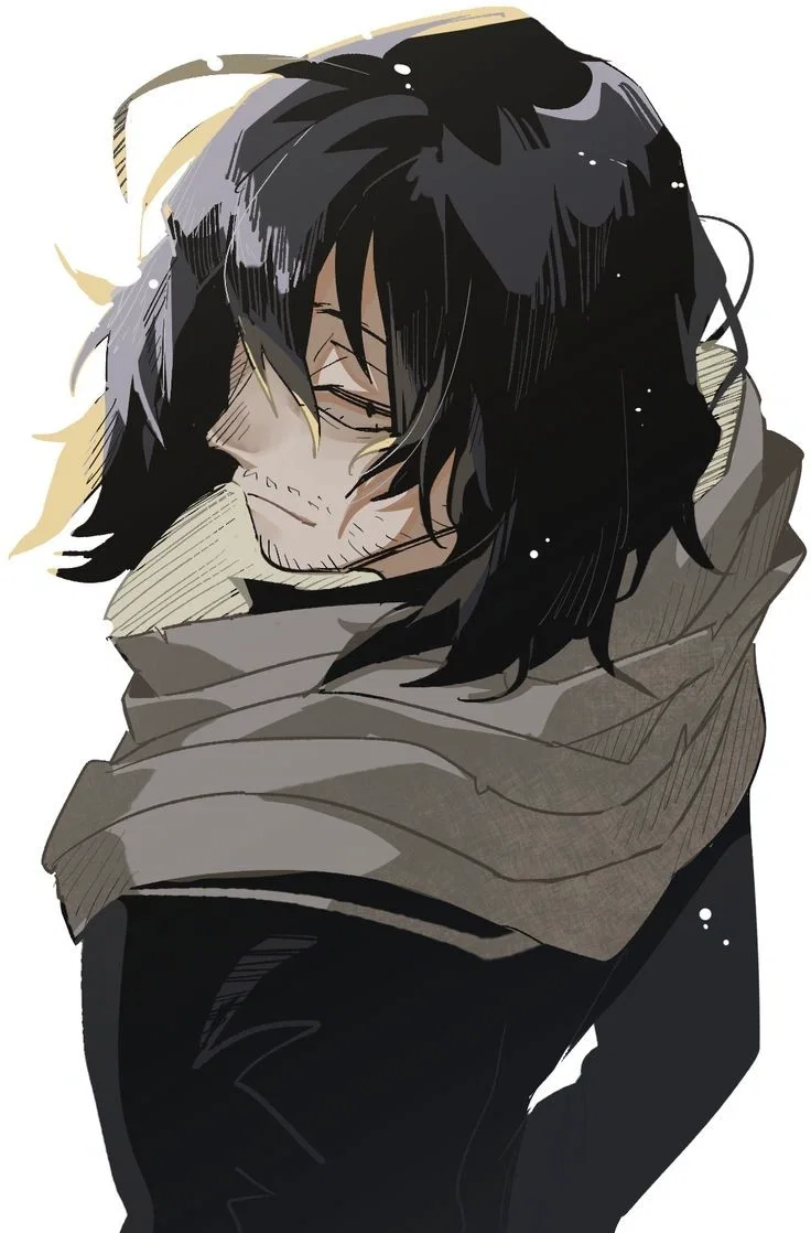 Avatar of Shota Aizawa