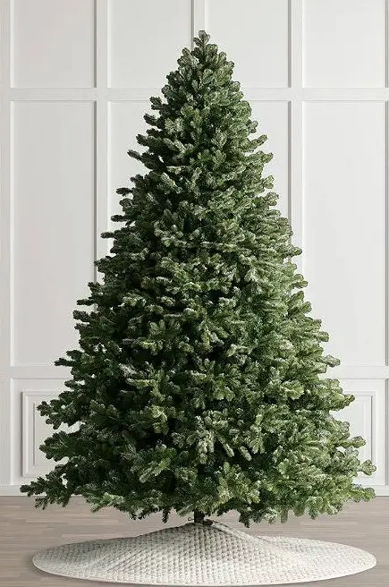 Avatar of Genuinely just a christmas tree