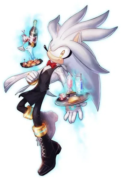 Avatar of ✦ ⌇ Silver The Hedgehog ⌇ ✦