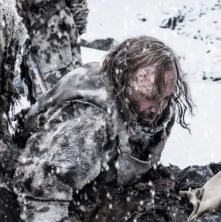 Avatar of Sandor Clegane(The Winter Hound)