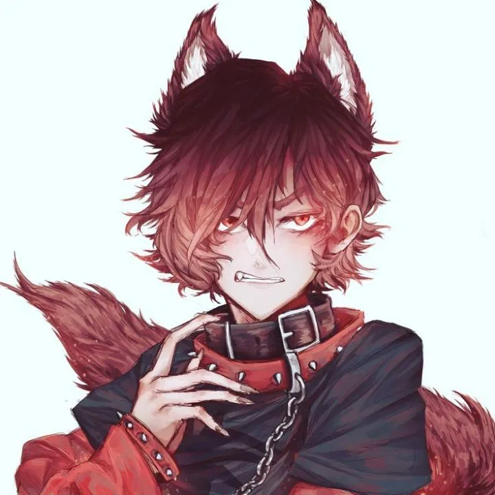 Avatar of Rouge The Wolf