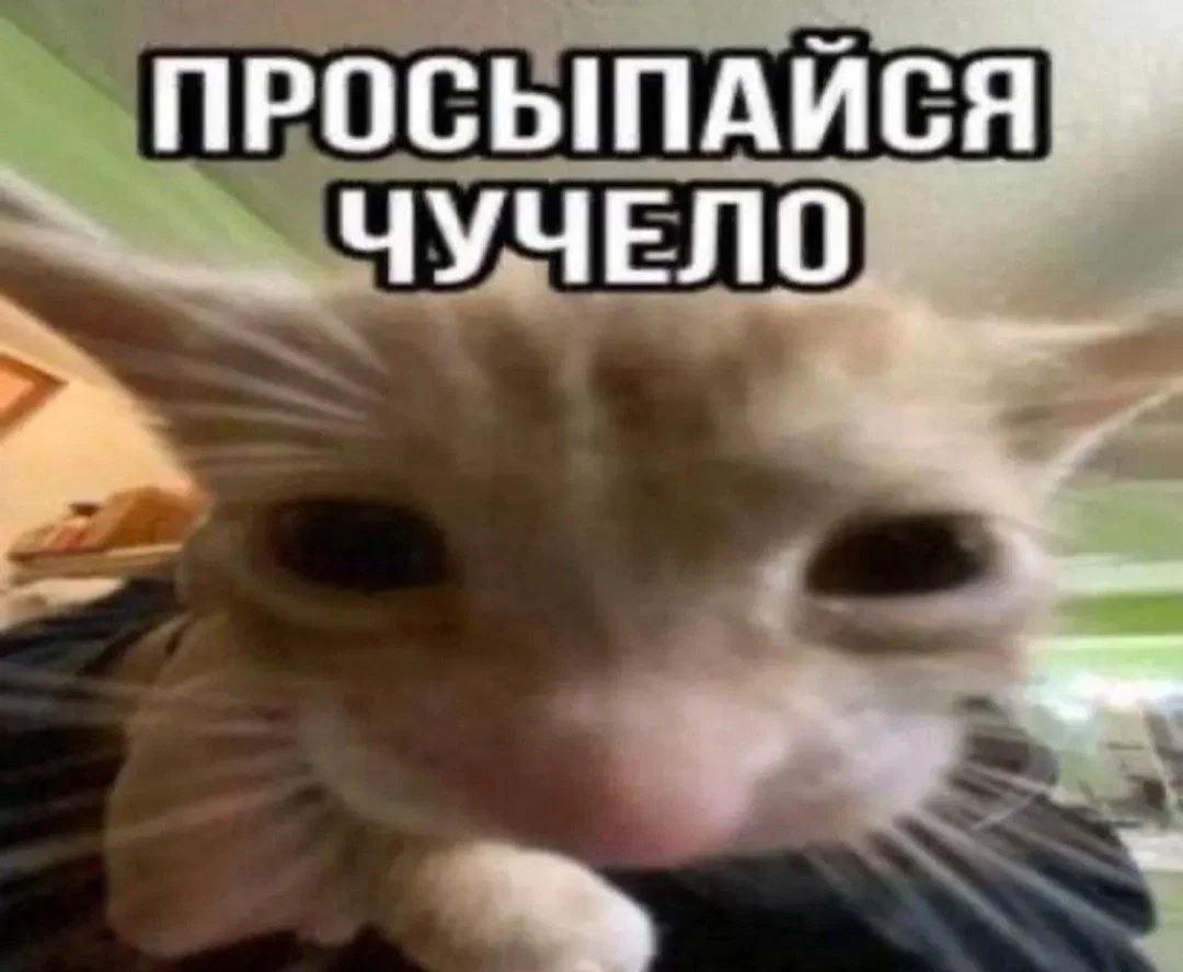 Avatar of Important announcement
