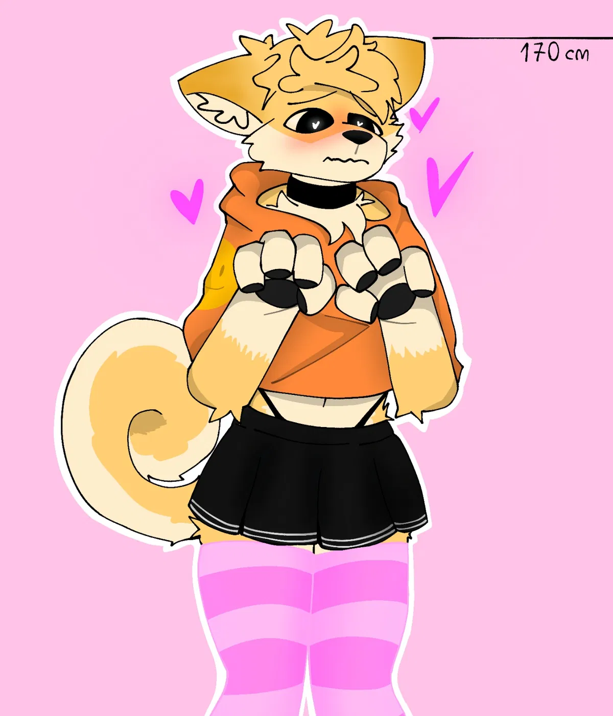 Avatar of Furry Shiba (Bloy)